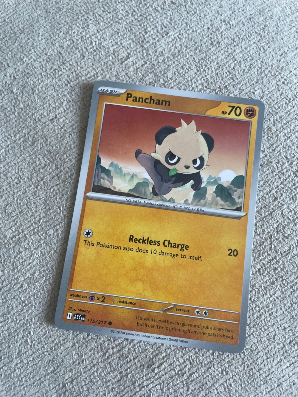 Pancham Pokémon Card